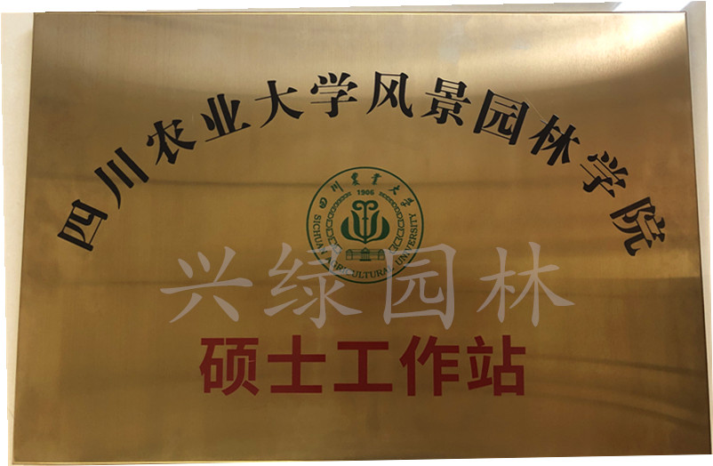 公司资质.jpg